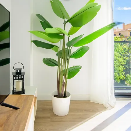 Wintowinrentals Twin Charm Centro, Encanto Y Confort Junto Al Casco Antiguo Apartment